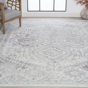 5x7 Modern White Area Rugs for Living Room | Bedroom Rug | Dining Room Rug | Indoor Entry or Entryway Rug | Kitchen Rug | Alfombras para Salas 5'3'' x 7'3''
